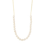 Pilgrim BERTHE Hálsketa