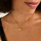 Pilgrim LUIS Hálsketa