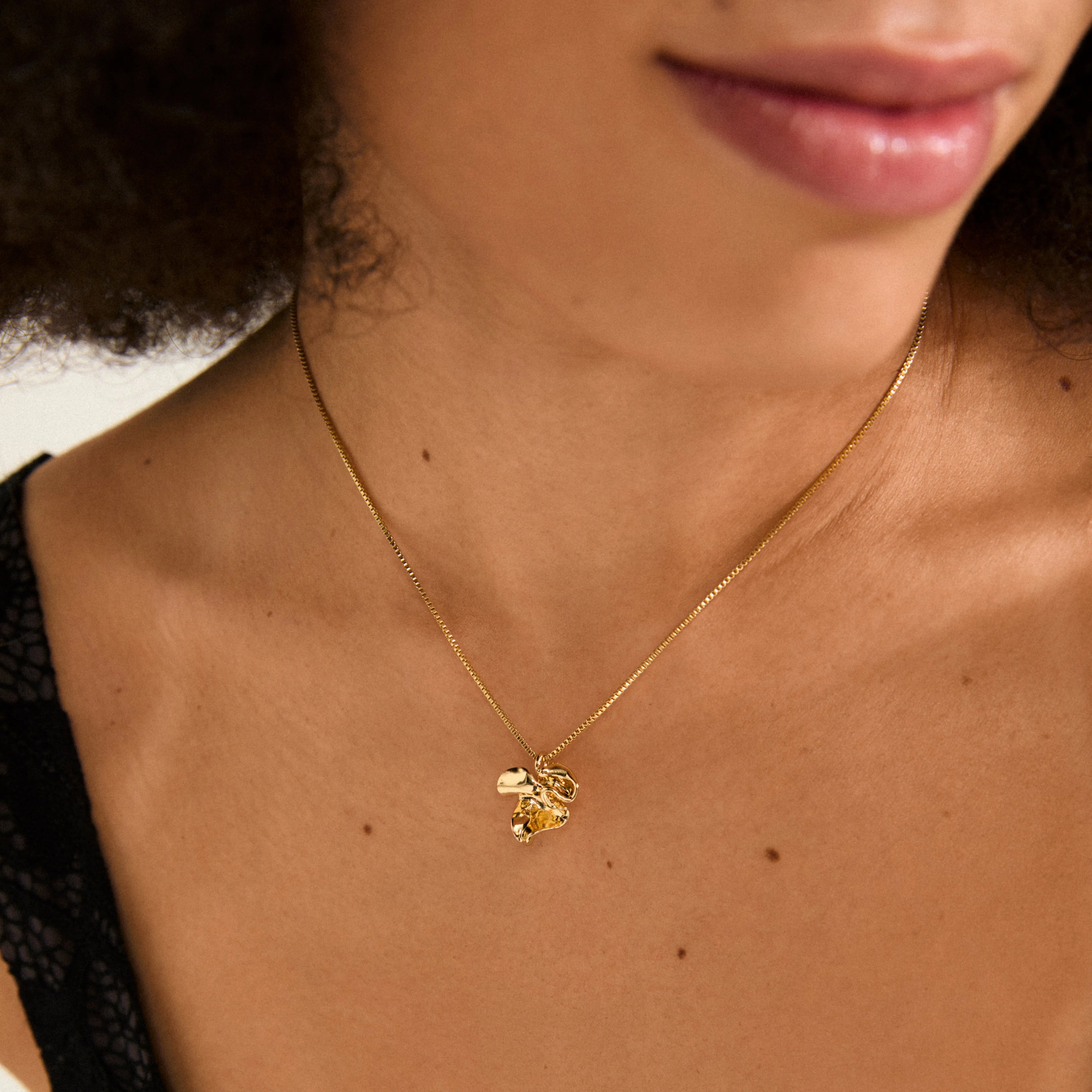 Pilgrim LUIS Hálsketa