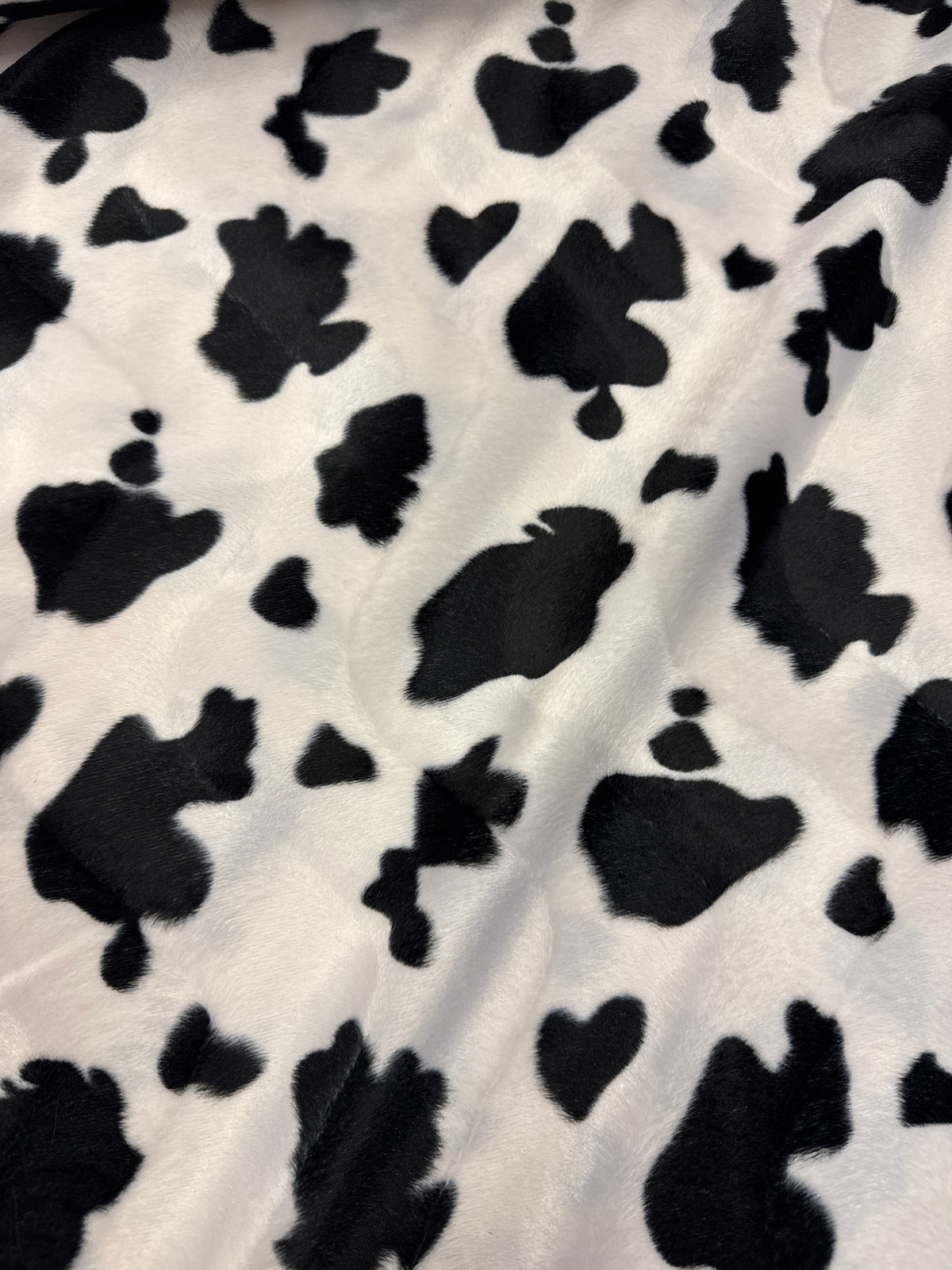 Cow hvítt/svart 120 kr mtr.