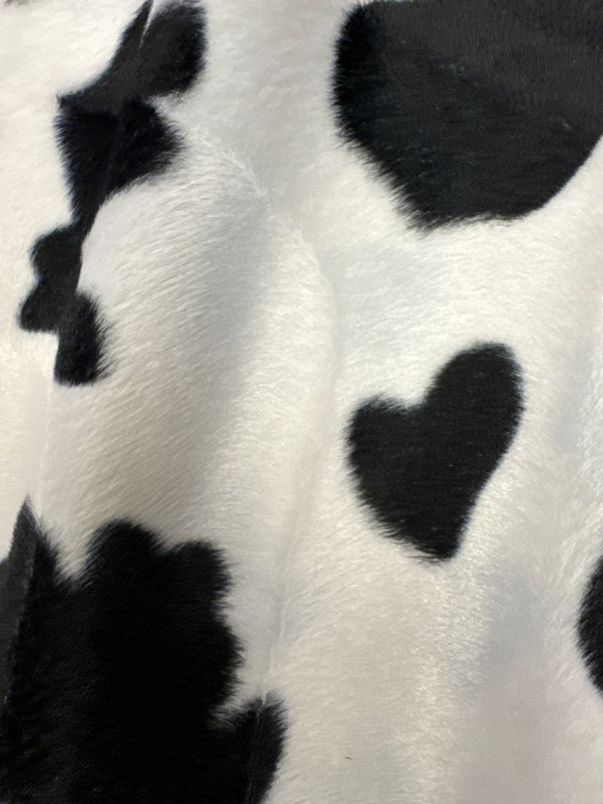 Cow hvítt/svart 120 kr mtr.